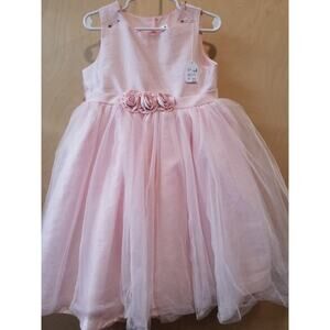 Beautiful Pink Poofy Dress